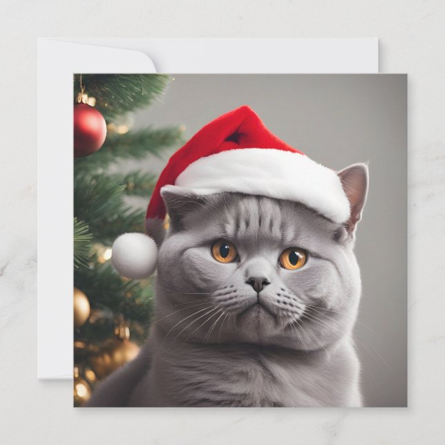 British Shorthair Christmas Holiday Card (Front)