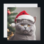 British Shorthair Christmas Holiday Card<br><div class="desc">Cute  blue/grey British shorthair cat wearing a Santa hat.</div>