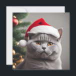 British Shorthair Christmas Holiday Card<br><div class="desc">Cute  blue/grey British shorthair cat wearing a Santa hat.</div>