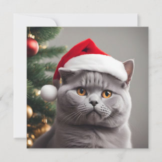 British Shorthair Christmas Holiday Card