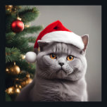 British Shorthair Christmas Poster<br><div class="desc">Cute  blue/grey British shorthair cat wearing a Santa hat.</div>