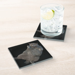 British Shorthair Fat Cat Laying on Back Glass Coaster