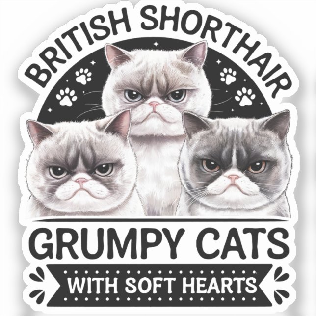 British Shorthair Grumpy Cats (Front)