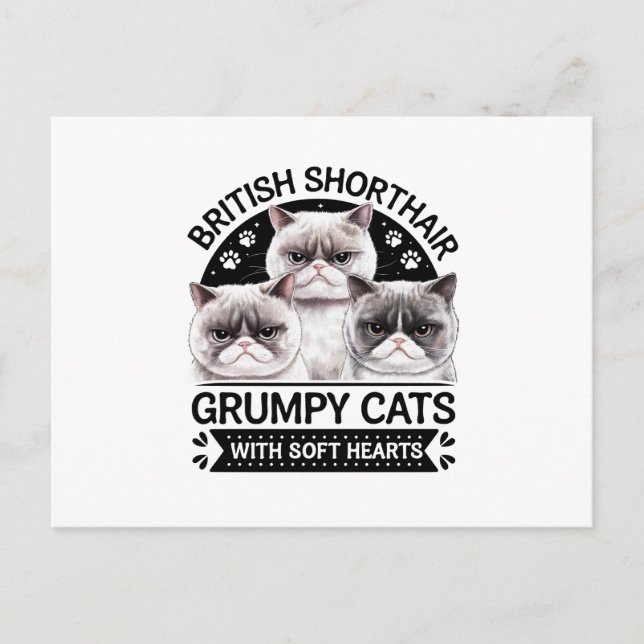 British Shorthair Grumpy Cats Postcard (Front)