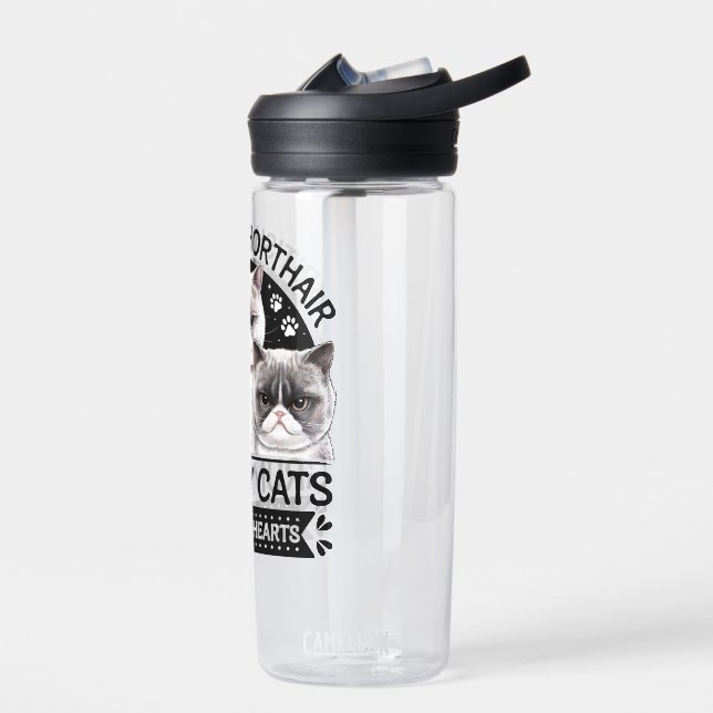 British Shorthair Grumpy Cats Water Bottle (Left)