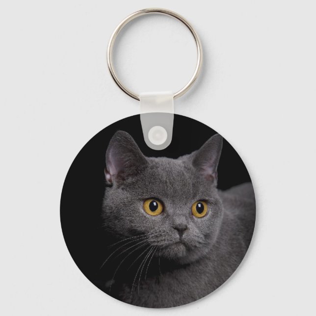 British Shorthair Keychain (Front)