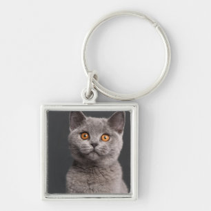 British Shorthair kitten (3 months old) Key Ring