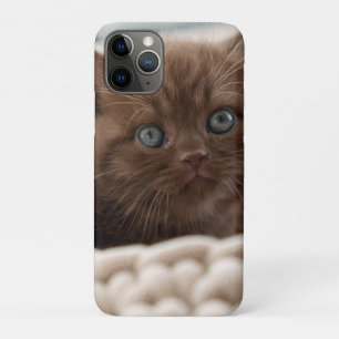 British shorthair, Kitten, Cat Case-Mate iPhone Case