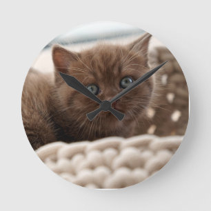 British shorthair, Kitten, Cat Round Clock