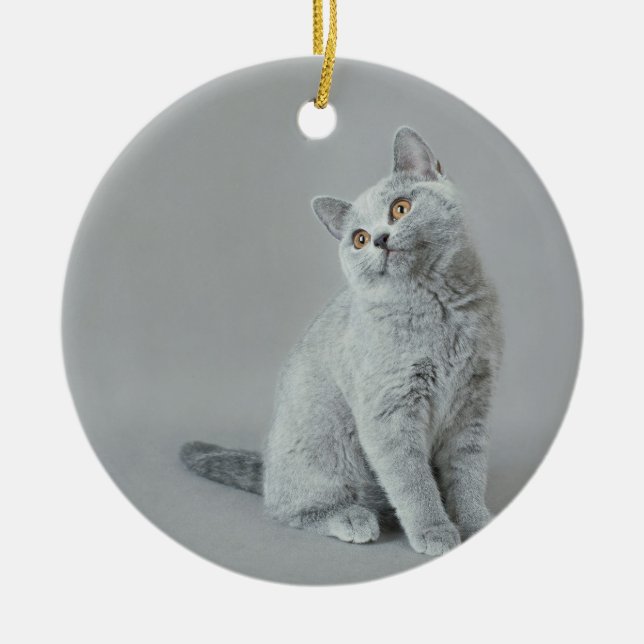 British shorthair kitten ceramic tree decoration (Front)