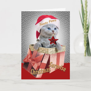 British Shorthair Kitten Christmas Surprise Cards