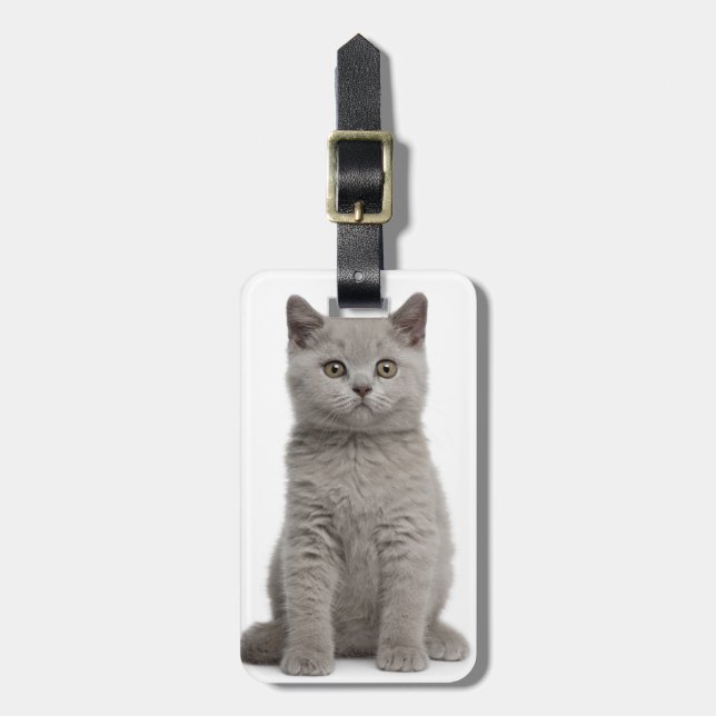 British Shorthair Kitten Luggage Tag (Front Vertical)