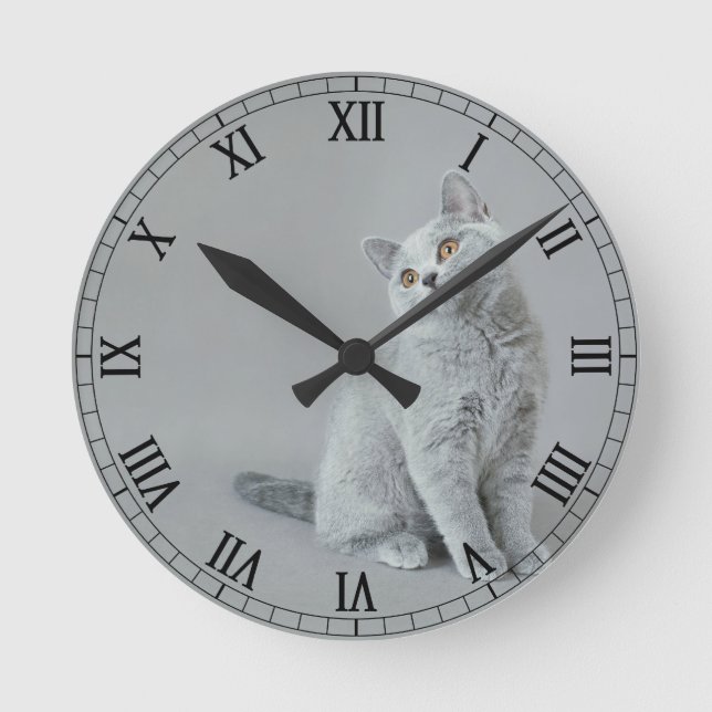 British shorthair kitten round clock (Front)