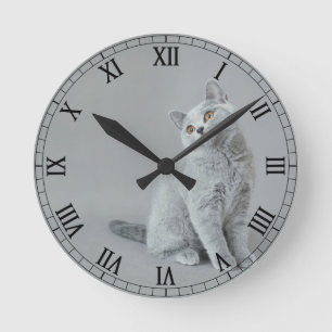 British shorthair kitten round clock