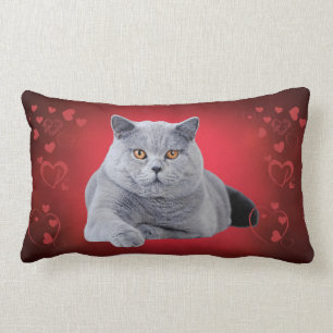 British shorthair love cat lumbar cushion