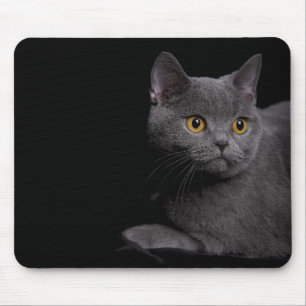 British Shorthair Mousepad