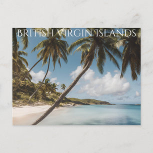 British Virgin Islands (11) Postcard