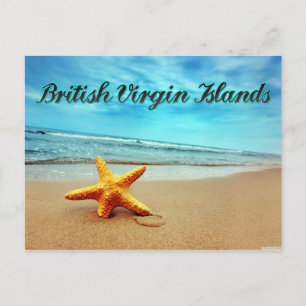 British Virgin Islands starfish Postcard