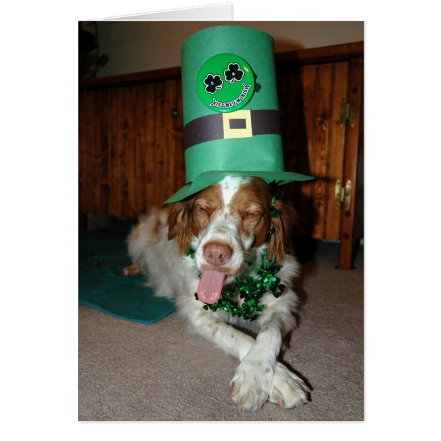 BRITNEY O'STOCK (Front)