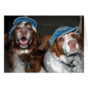 BRITS IN HATS