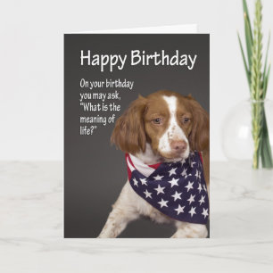 Brittany Birthday Card