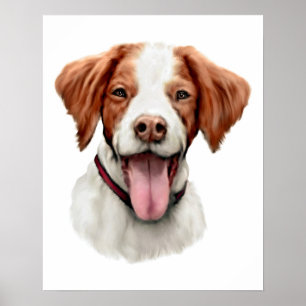 Brittany Bust Poster