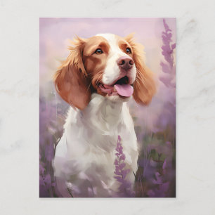 Brittany dog in Lavender field Postcard