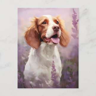 Brittany dog in Lavender field Postcard