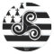 Brittany Flag (Breton)