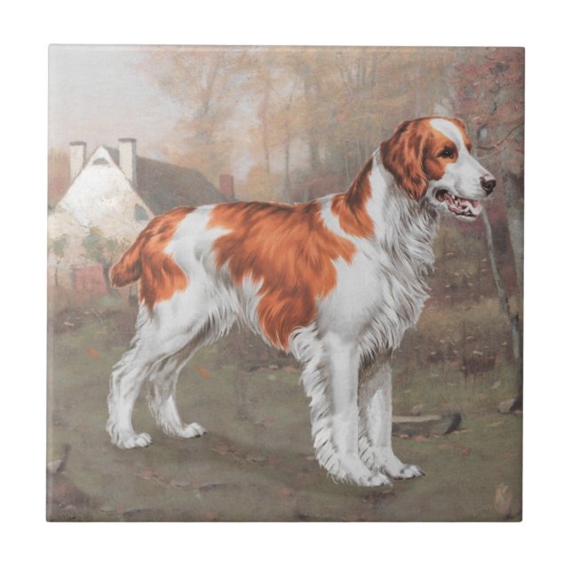 Brittany in the Field Tile (Front)