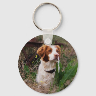 Brittany Key Ring