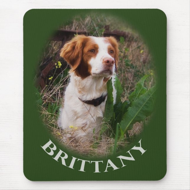 Brittany Mouse Pad (Front)