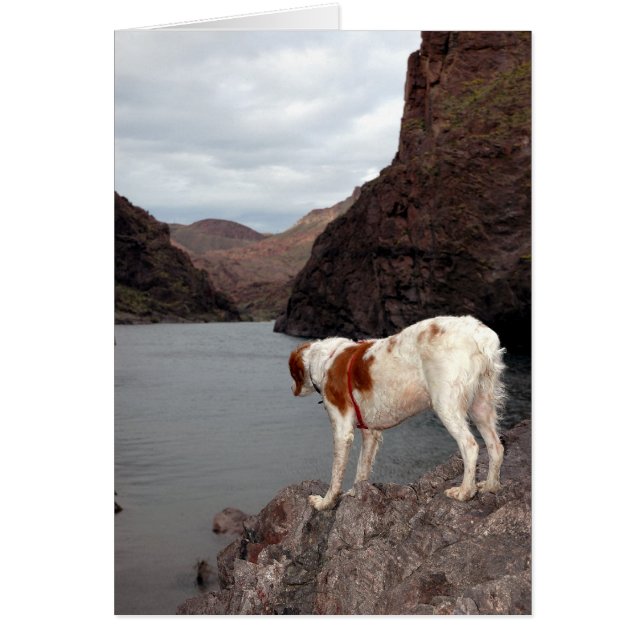 BRITTANY OVER THE COLORADO RIVER (Front)