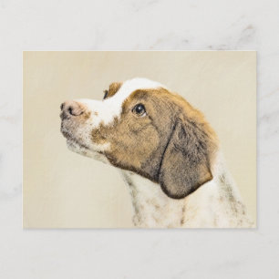 Brittany Painting - Cute Original Dog Art Postcard