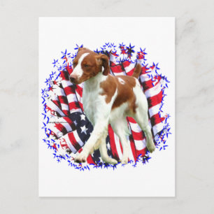 Brittany Patriot Postcard