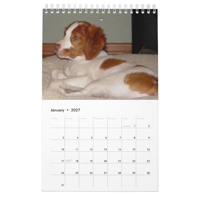 Brittany Puppies 2008 Calendar (Jan 2027)