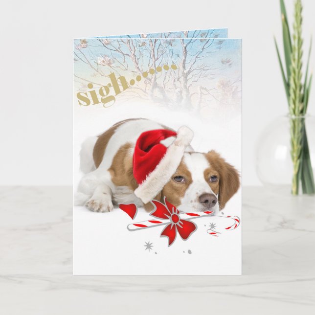 Brittany Santa Takes So Long Cards (Front)