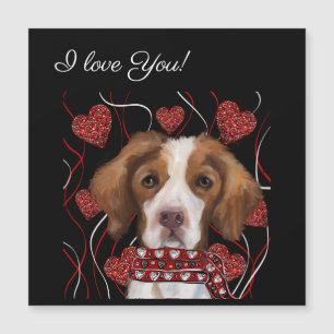 Brittany   Spaniel 