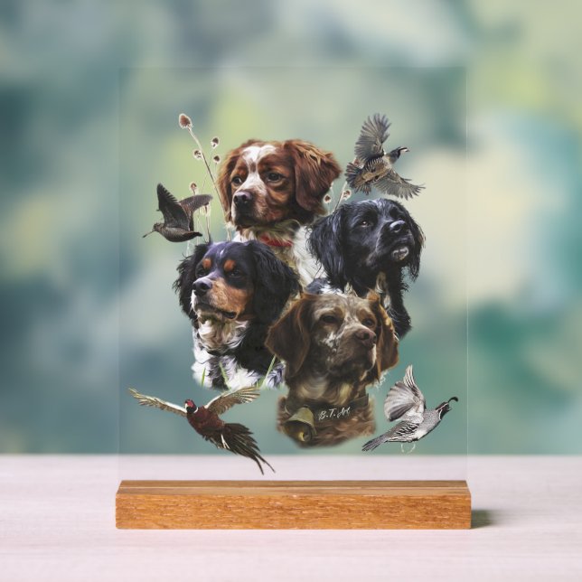 Brittany Spaniel Acrylic Sign (Neutral)