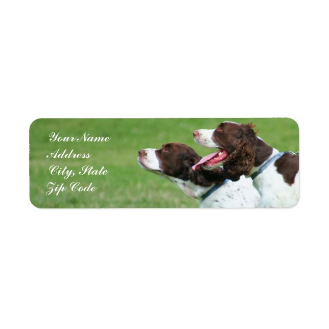 Brittany spaniel address labels (Front)