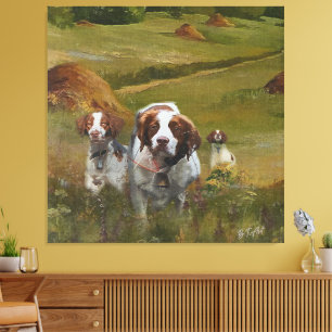 Brittany Spaniel  Canvas Print