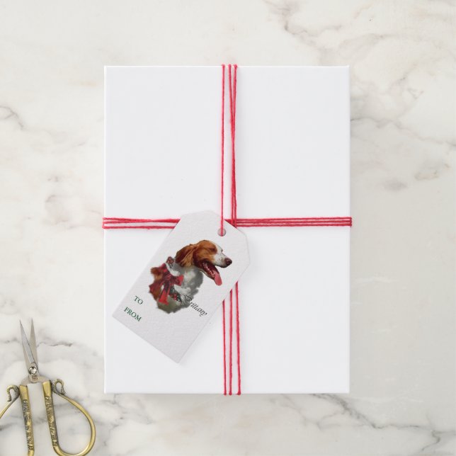 Brittany Spaniel Christmas Gift Tags (With Twine)