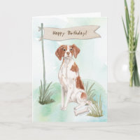 Brittany Spaniel Dog Under Birthday Sign