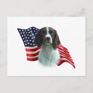 Brittany Spaniel Flag Postcard