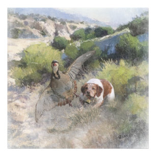 Brittany Spaniel hunting chukar partridge, Art  Photo Print