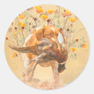 Brittany Spaniel, Hunting Pheasant Coffee Mug T-Sh Classic Round Sticker