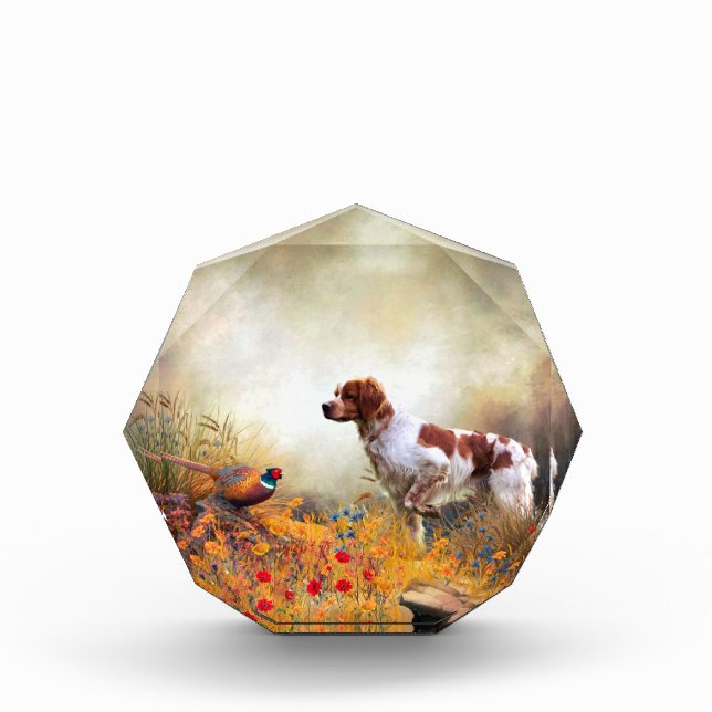 Brittany Spaniel, Hunting Pheasant    Photo Block (Front)