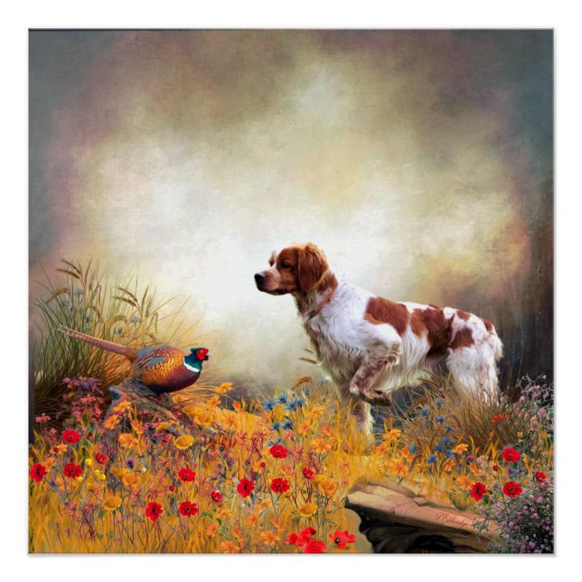Brittany Spaniel, Hunting Pheasant  Poster (Front)