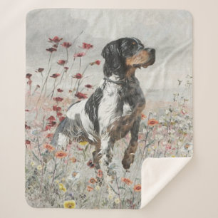 Brittany Spaniel hunts in the field Sherpa Blanket