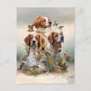 Brittany Spaniel , Passion for Birds Invitation Postcard